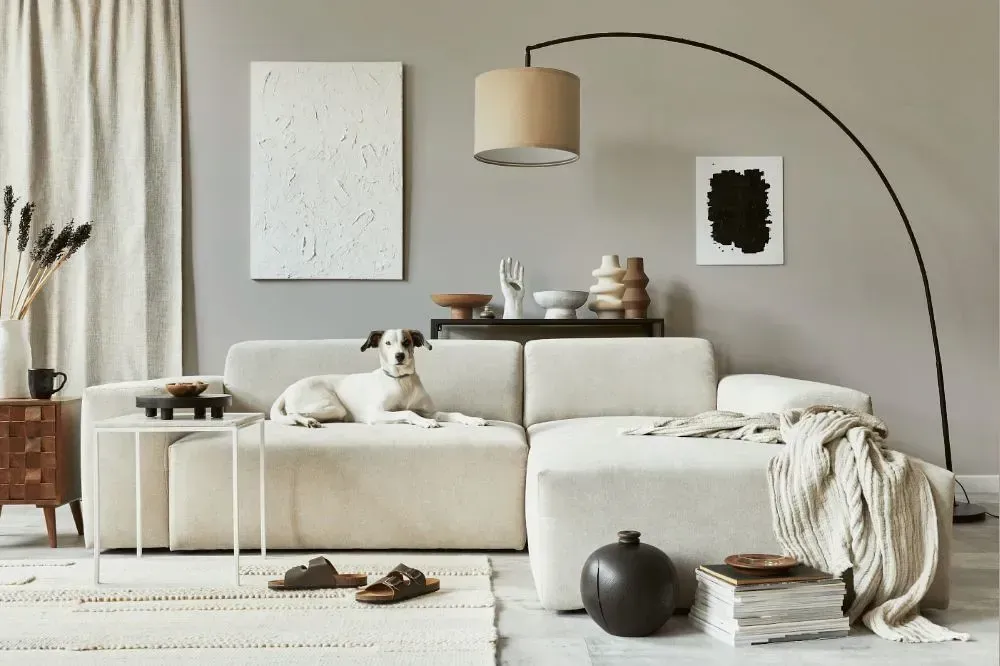 NCS S 2502-Y50R cozy living room