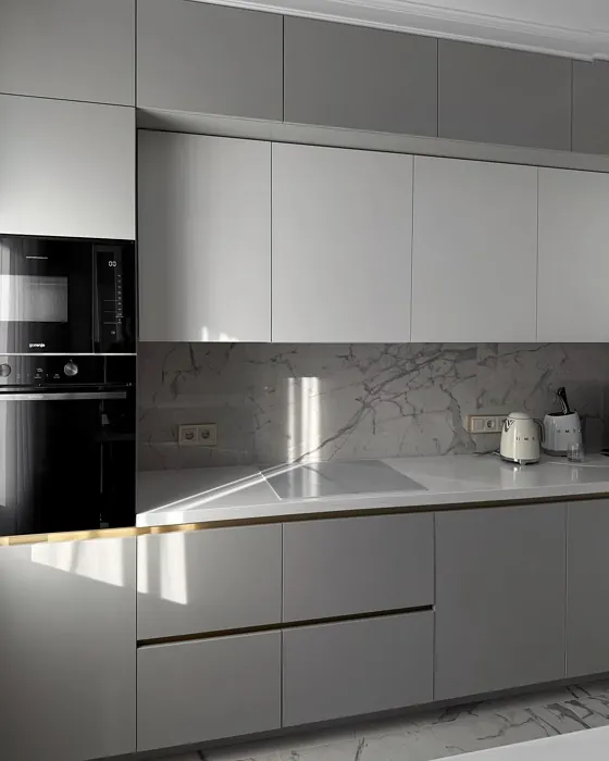 S 2502-Y50R kitchen cabinets 