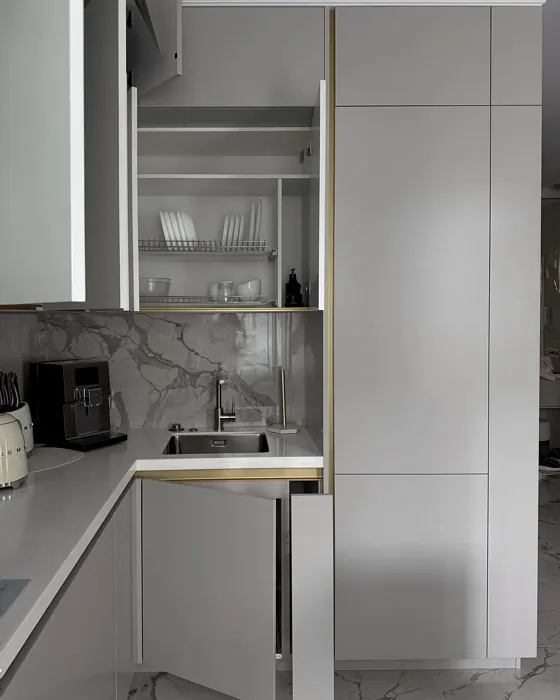 S 2502-Y50R kitchen cabinets color