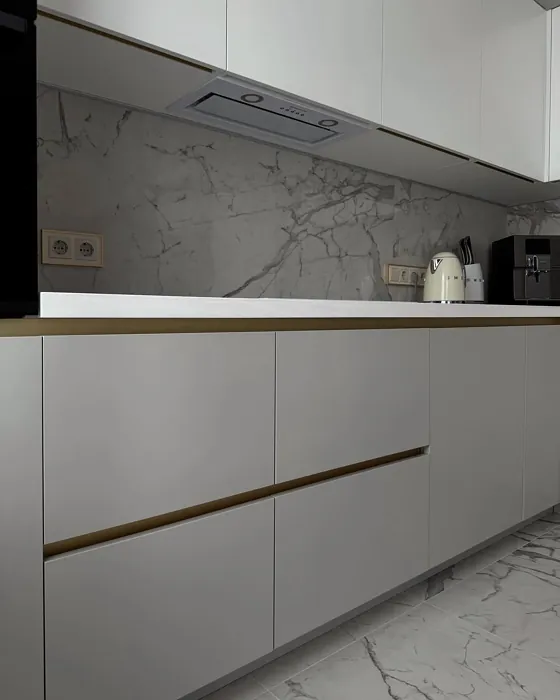 S 2502-Y50R kitchen cabinets paint