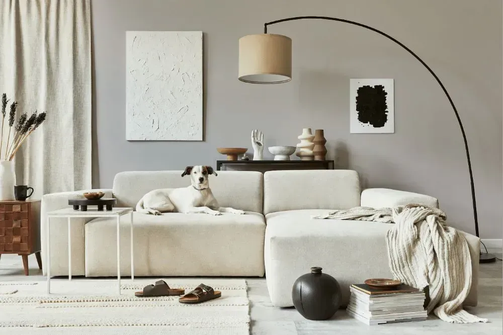 NCS S 2502-Y80R cozy living room