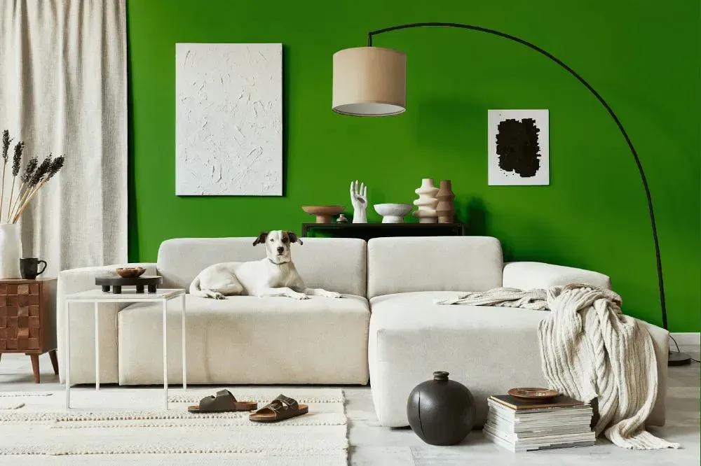 NCS S 2570-G30Y cozy living room