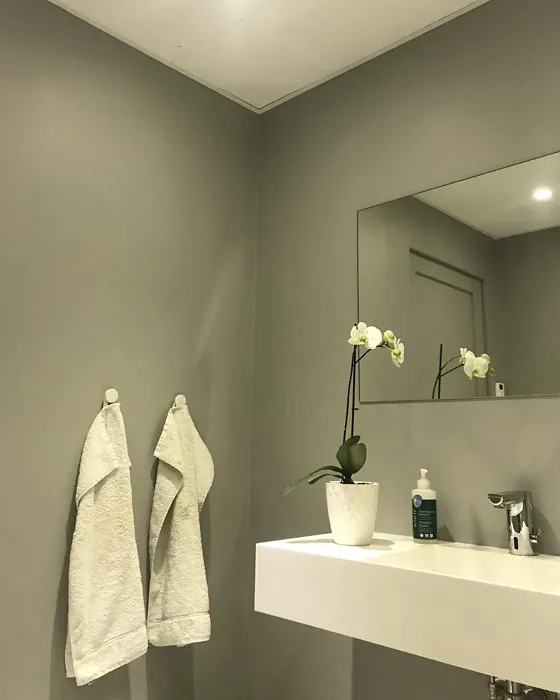 NCS S 3000-N bathroom paint