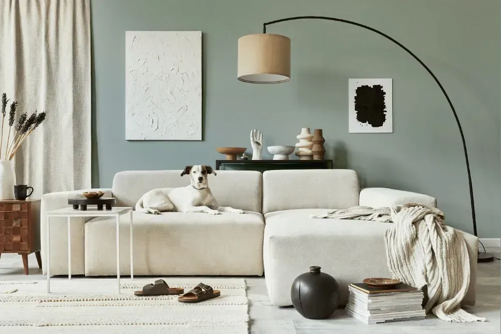 NCS S 3005-G cozy living room