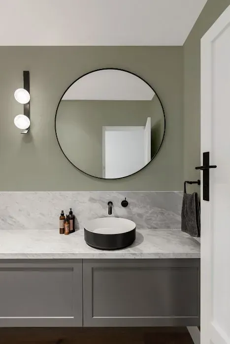 NCS S 3005-G50Y minimalist bathroom
