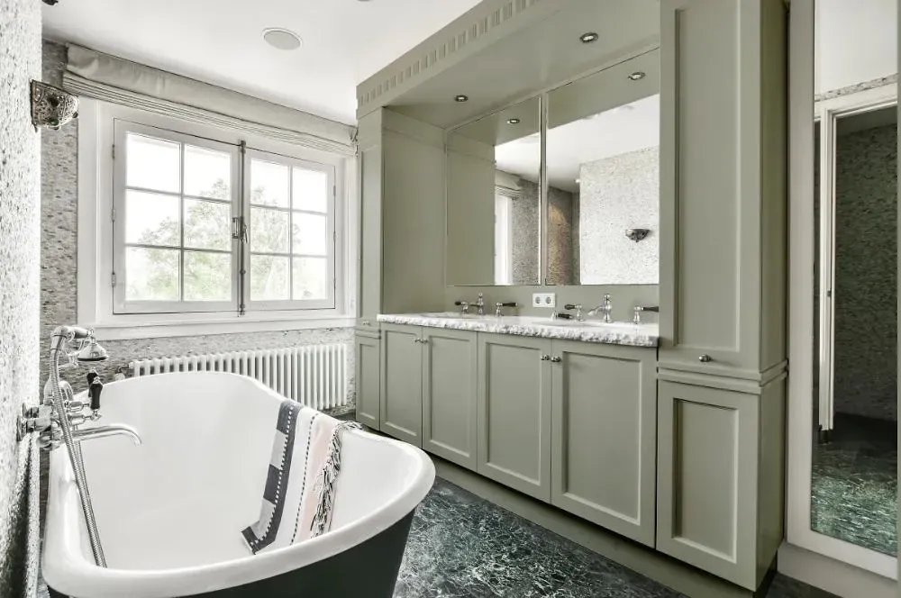 NCS S 3005-G50Y victorian bathroom paint