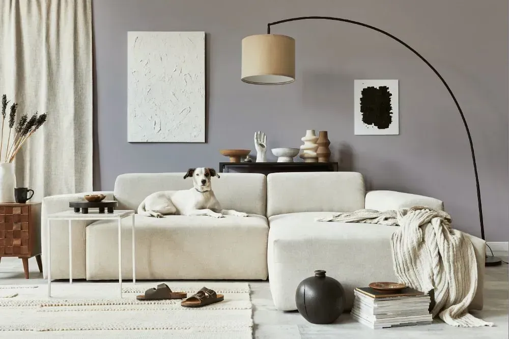 NCS S 3005-R50B cozy living room