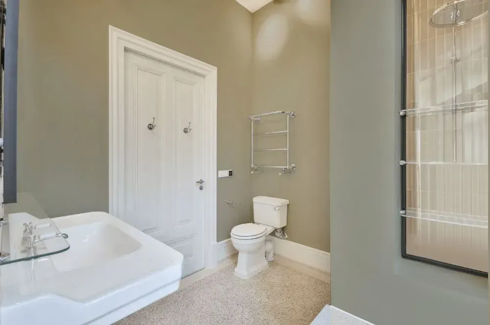 NCS S 3005-Y bathroom