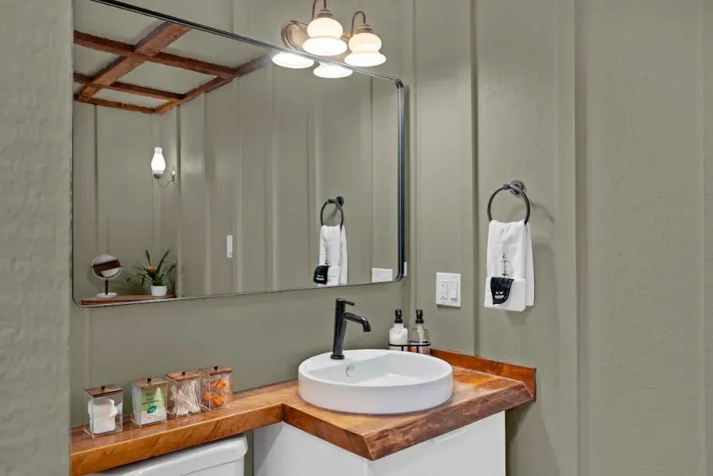 NCS S 3005-Y small bathroom