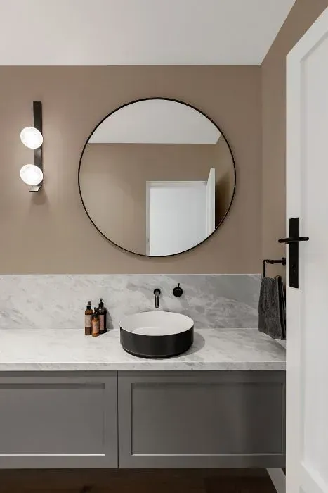 NCS S 3005-Y50R minimalist bathroom
