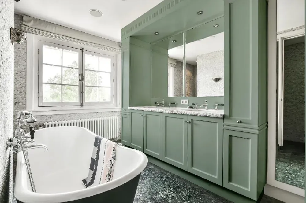 NCS S 3010-G10Y victorian bathroom paint