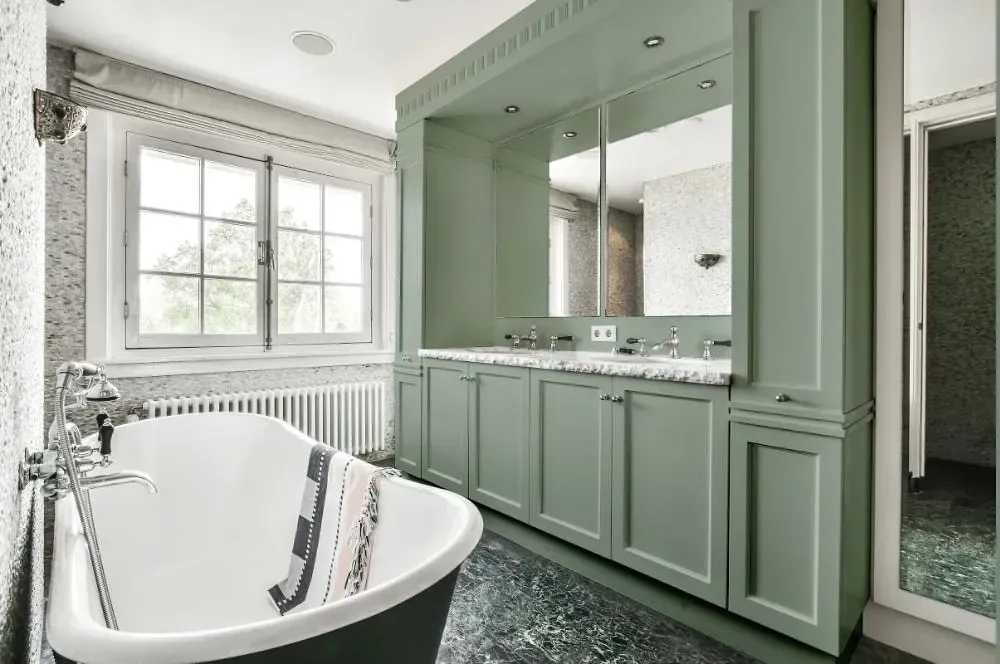 NCS S 3010-G20Y victorian bathroom paint