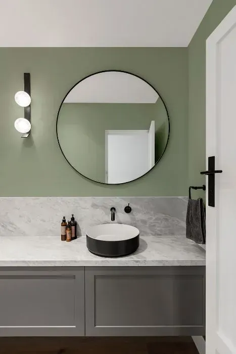 NCS S 3010-G30Y minimalist bathroom