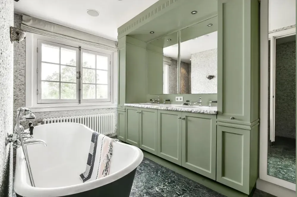 NCS S 3010-G30Y victorian bathroom paint