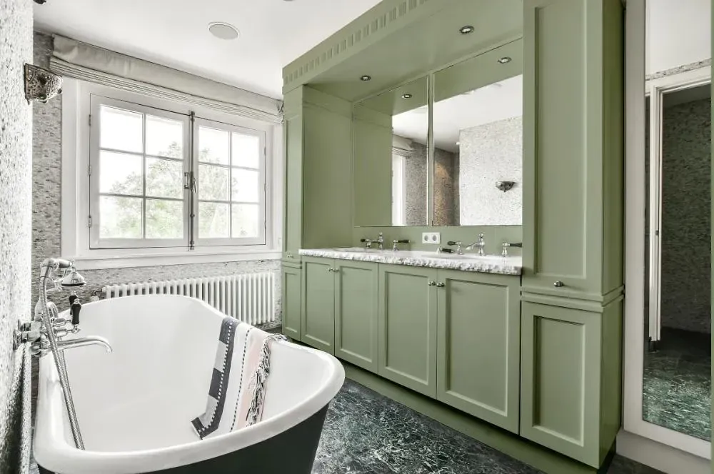 NCS S 3010-G40Y victorian bathroom paint