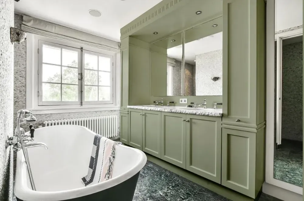 NCS S 3010-G50Y victorian bathroom paint