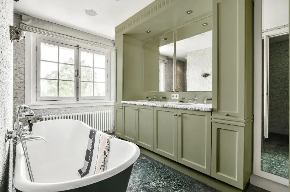 NCS S 3010-G60Y victorian bathroom paint