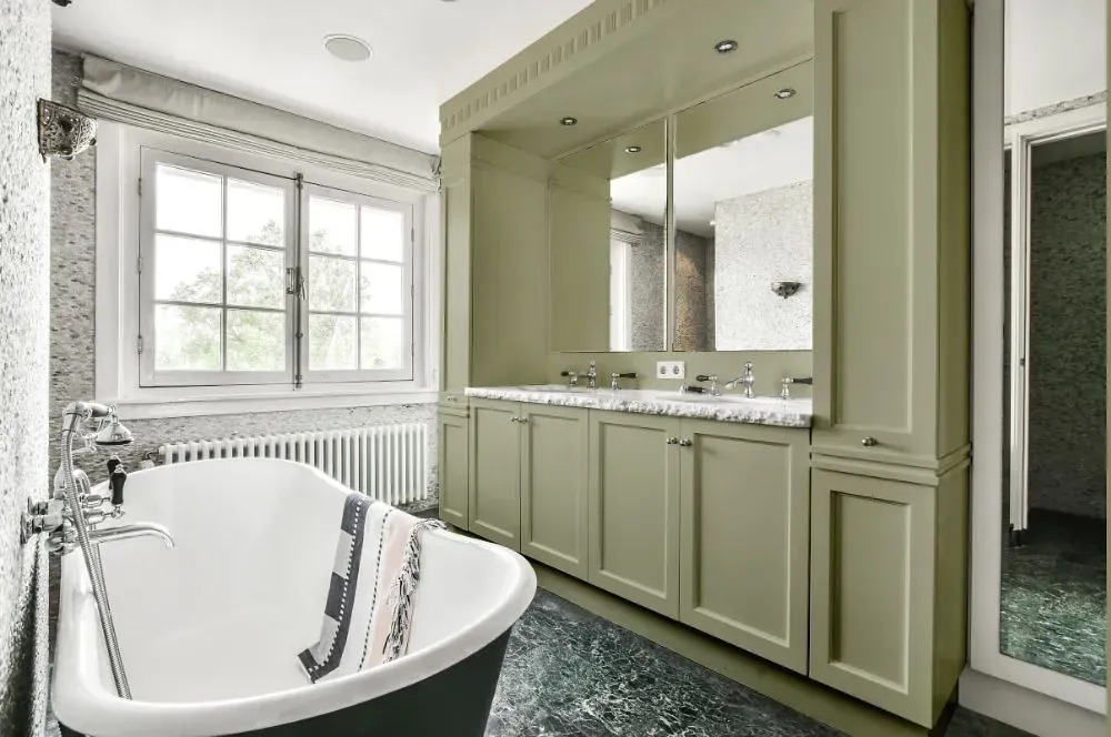 NCS S 3010-G70Y victorian bathroom paint