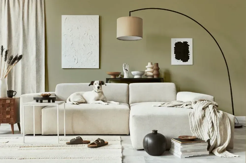 NCS S 3010-G90Y cozy living room