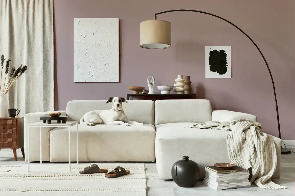 NCS S 3010-R10B cozy living room