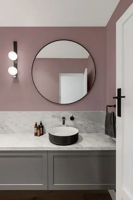 NCS S 3010-R10B minimalist bathroom