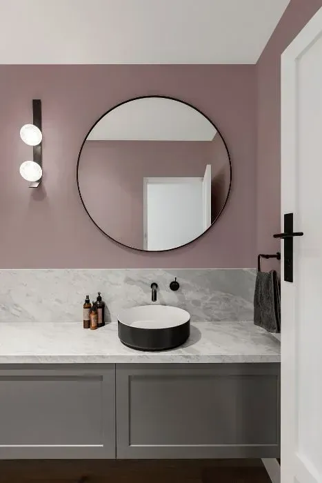 NCS S 3010-R20B minimalist bathroom