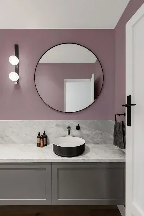 NCS S 3010-R30B minimalist bathroom