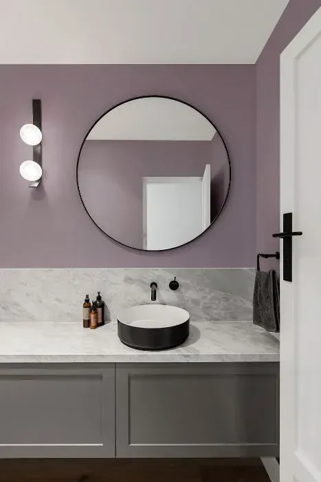 NCS S 3010-R40B minimalist bathroom
