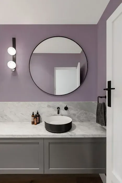 NCS S 3010-R50B minimalist bathroom