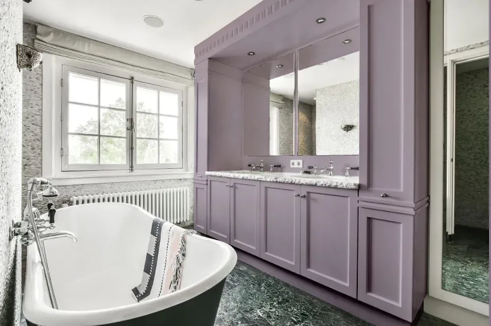 NCS S 3010-R50B victorian bathroom paint