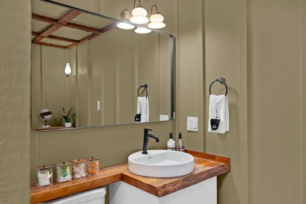 NCS S 3010-Y small bathroom