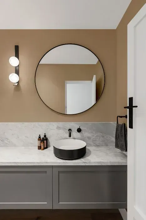 NCS S 3010-Y30R minimalist bathroom