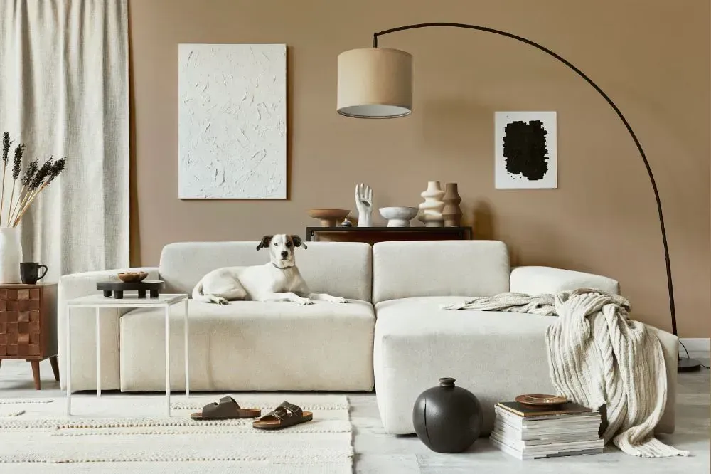 NCS S 3010-Y40R cozy living room