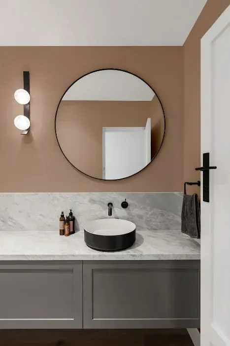NCS S 3010-Y60R minimalist bathroom