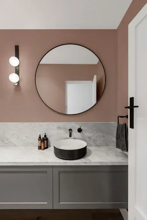 NCS S 3010-Y80R minimalist bathroom