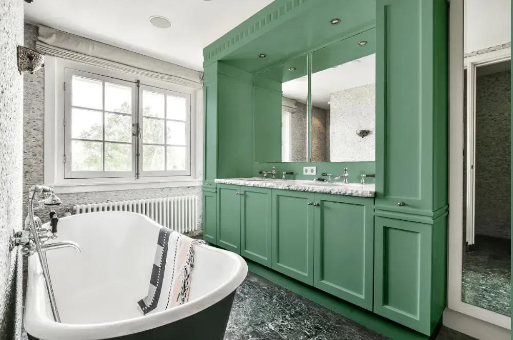 NCS S 3020-G victorian bathroom paint