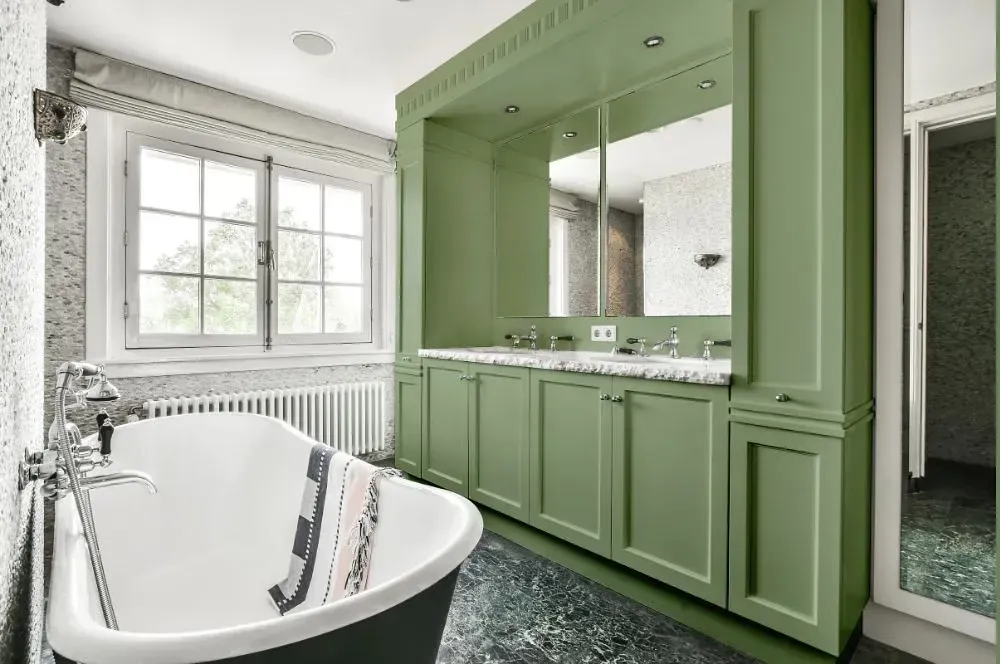 NCS S 3020-G30Y victorian bathroom paint