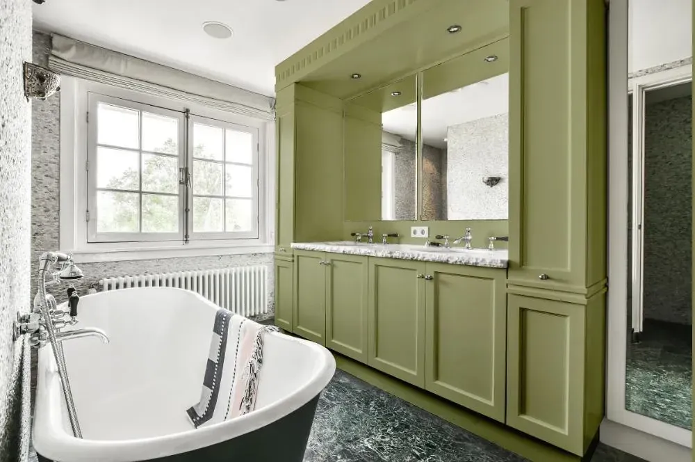 NCS S 3020-G60Y victorian bathroom paint