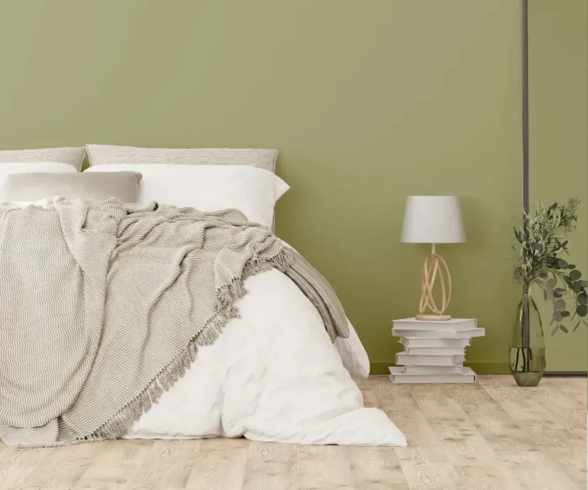 NCS S 3020-G60Y cozy bedroom wall color