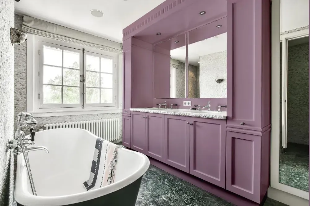 NCS S 3020-R40B victorian bathroom paint