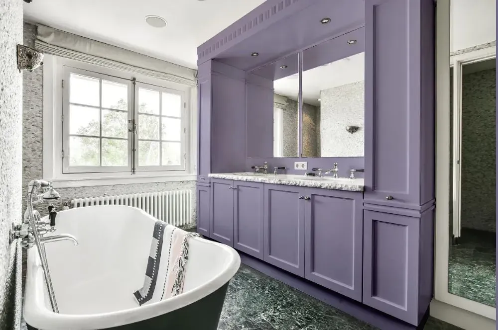 NCS S 3020-R60B victorian bathroom paint