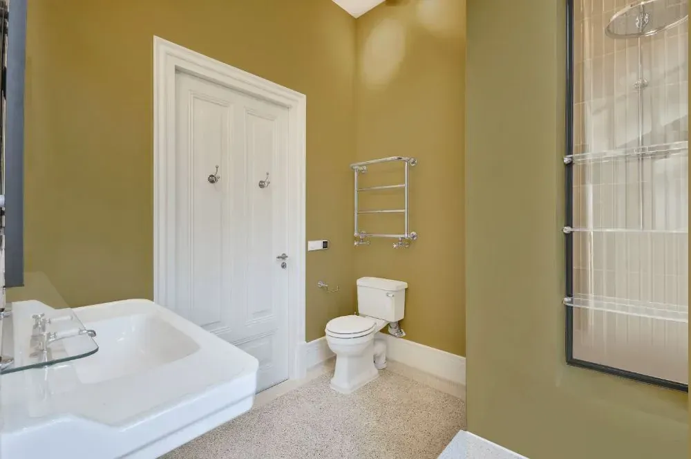 NCS S 3020-Y bathroom