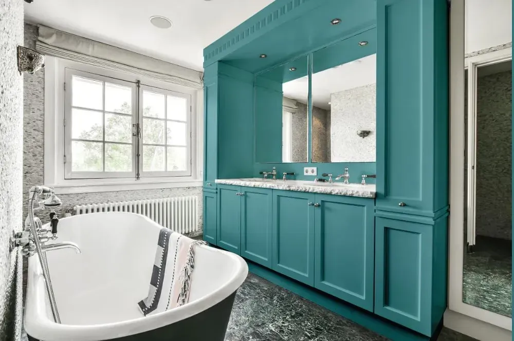 NCS S 3030-B30G victorian bathroom paint