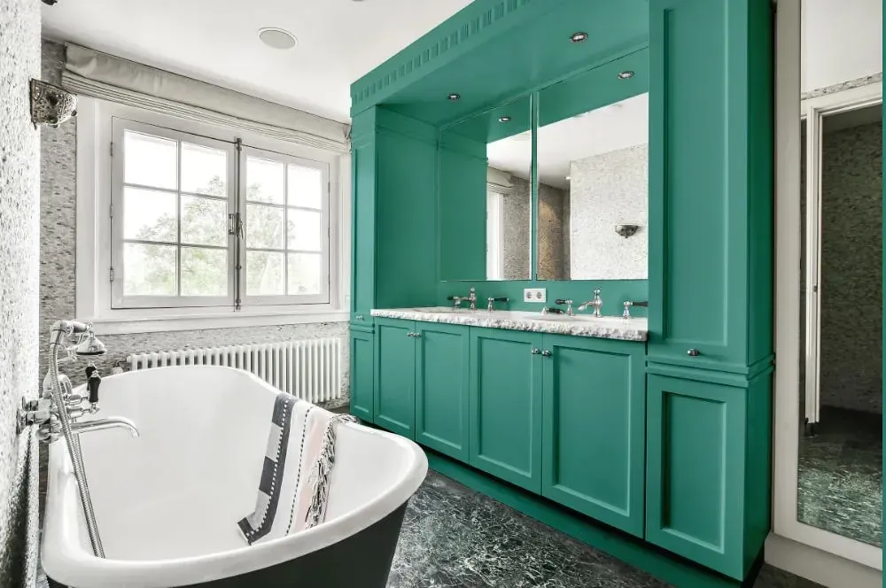 NCS S 3030-B70G victorian bathroom paint