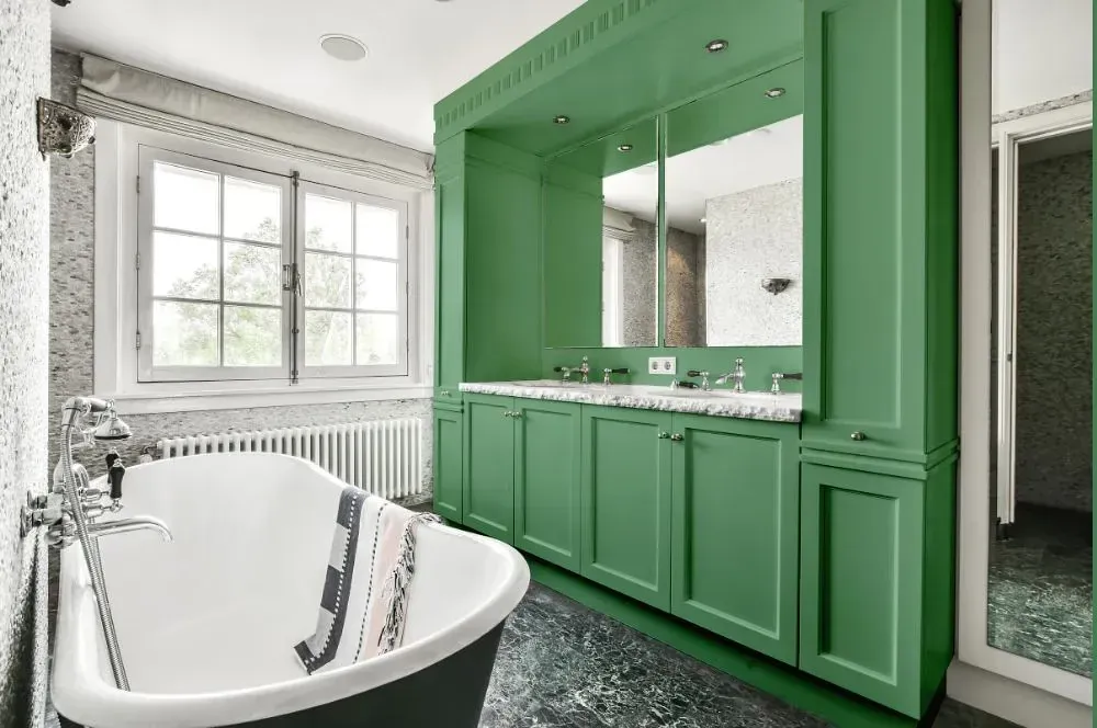 NCS S 3030-G10Y victorian bathroom paint