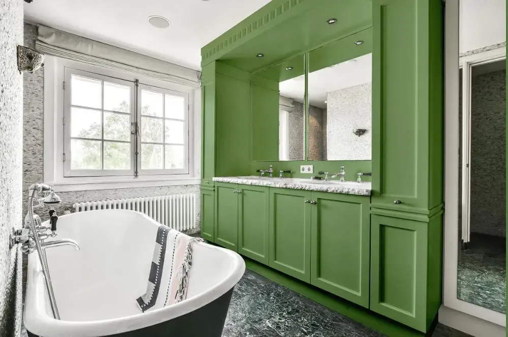 NCS S 3030-G30Y victorian bathroom paint