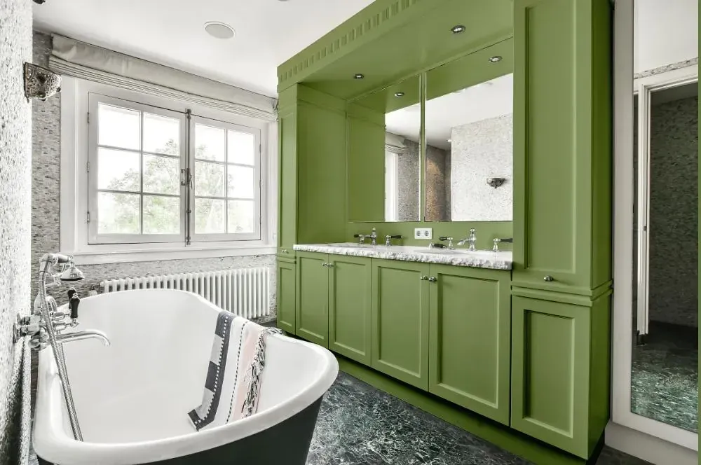 NCS S 3030-G40Y victorian bathroom paint