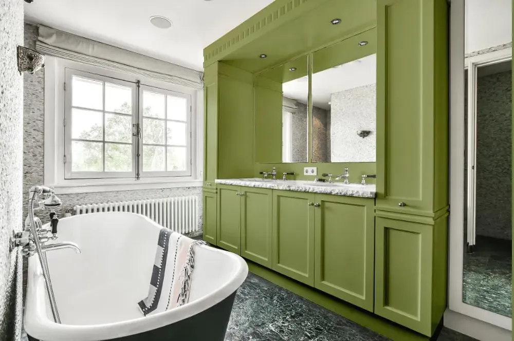 NCS S 3030-G50Y victorian bathroom paint