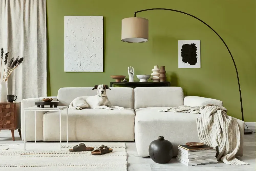 NCS S 3030-G60Y cozy living room