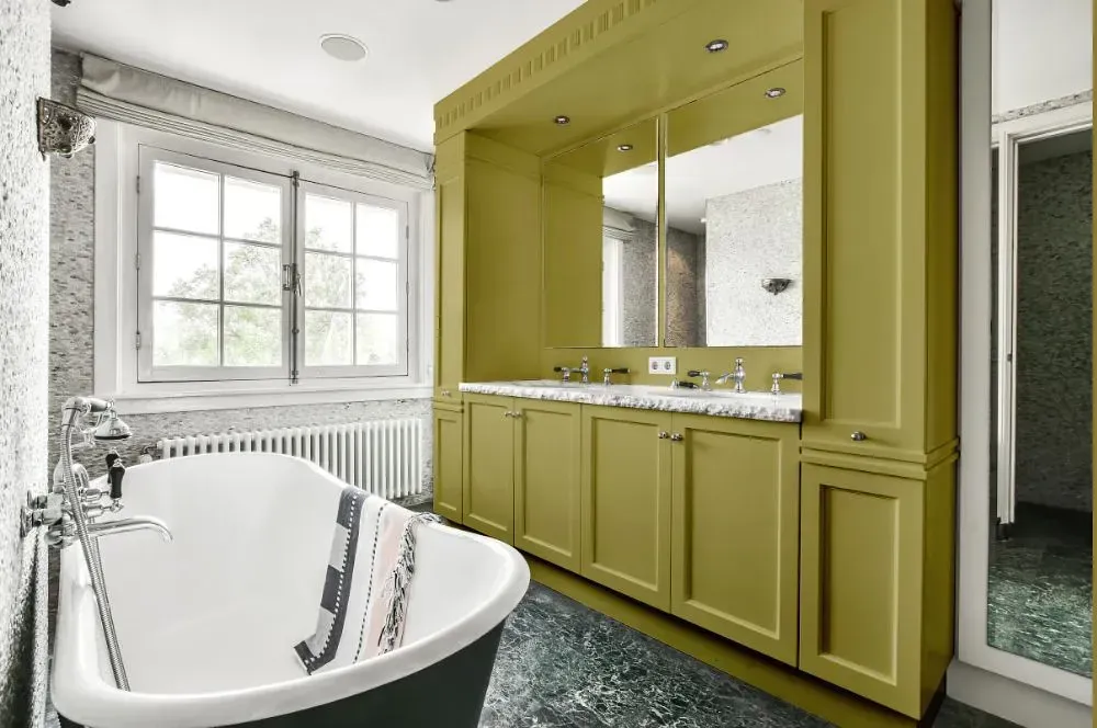 NCS S 3030-G80Y victorian bathroom paint